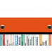 WhiteCoat Clipboard® Trifold - Orange Physical Therapy Edition
